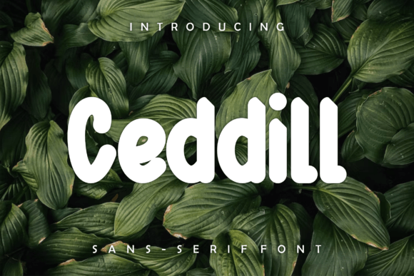 Ceddill: A Premium Display Font for Polished Branding