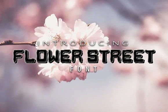 Flower Street: A Unique Display Font for Marketers