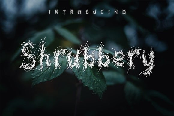 Shrubbery: A Whimsical Display Font for Web Design
